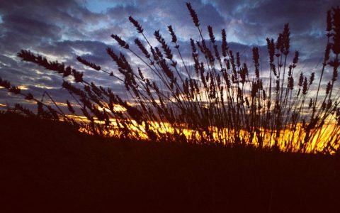 #sunset #rural #France #lavender #clouds #bigsky #endoftheday #beautiful #aurevoir #happytimes #family #friendship #silhouette