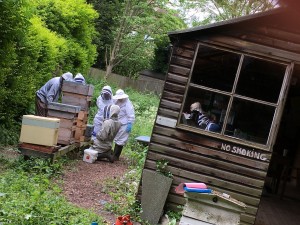 Bee keepers at allotment